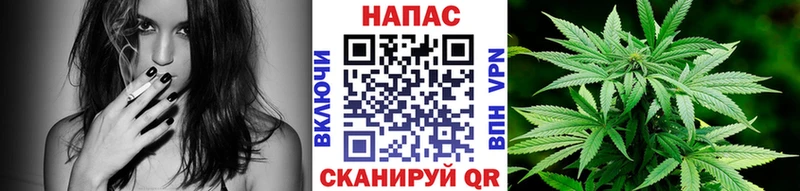 Купить закладки  Волгодонск  Бошки Шишки гибрид 